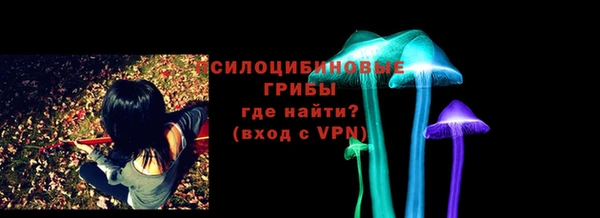 дживик Арсеньев