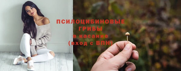 дживик Арсеньев