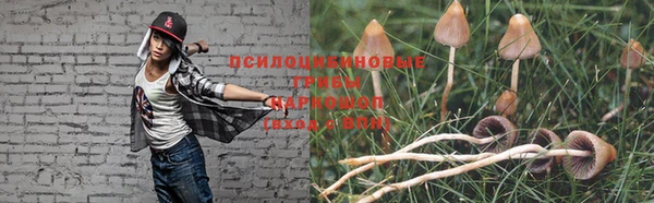 дживик Арсеньев